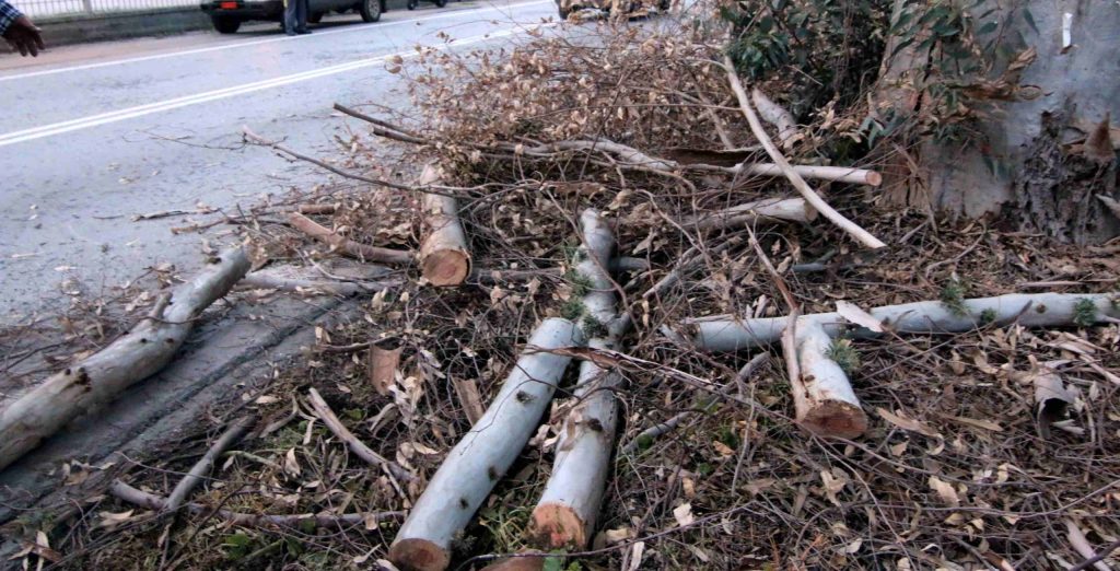 Μεγάλα προβλήματα προκαλούν οι άνεμοι επιπέδου θύελλας στη Θεσσαλονίκη