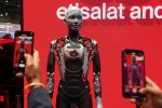 Robot in Festival