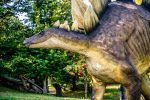 dinosaur