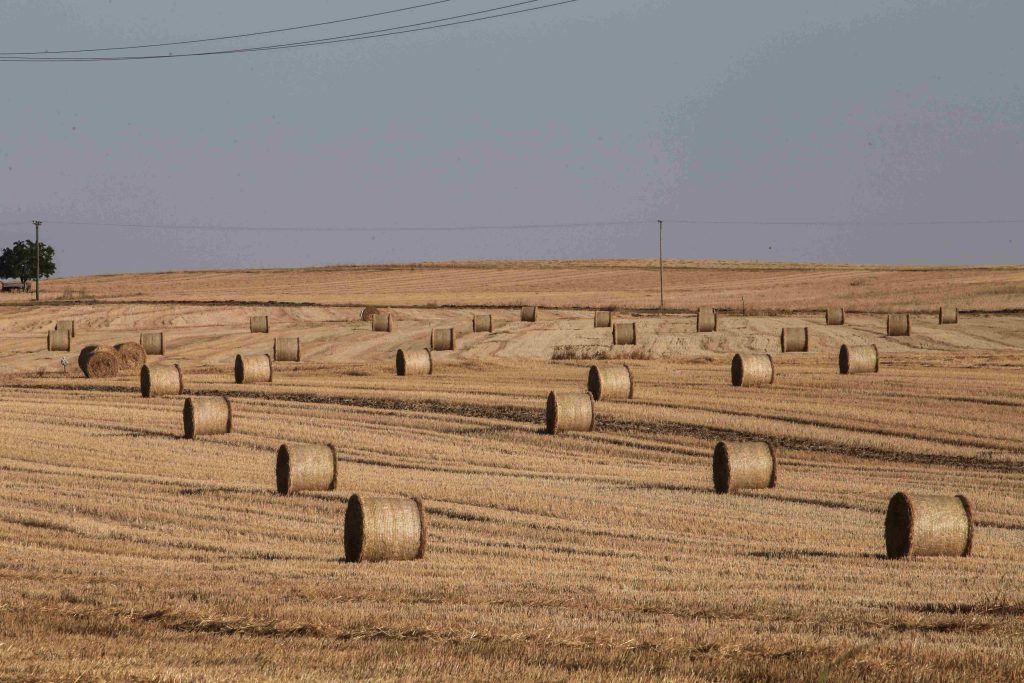 ΥΠΑΑΤ: 11 ερωτήσεις – απαντήσεις για τα 3,7 δις που καταβάλλονται στους αγρότες το 2025