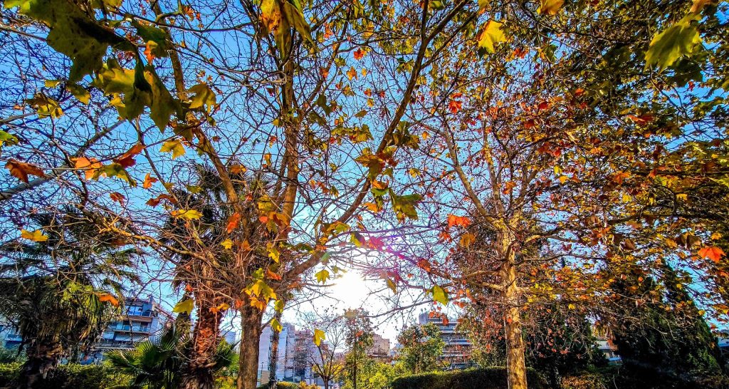 Καλός ο καιρός σήμερα: Ανοιξιάτικες θερμοκρασίες έως 23 βαθμούς και ελαφρύ βοριαδάκι