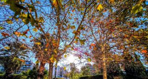 Καλός ο καιρός σήμερα: Ανοιξιάτικες θερμοκρασίες έως 23 βαθμούς και ελαφρύ βοριαδάκι