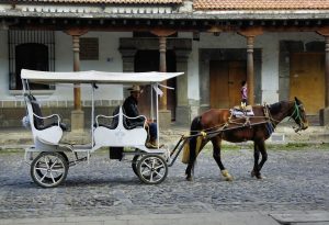 Τι άλλο θα δούμε! Ρομποτόσκυλο σέρνει…άμαξα με επιβάτη – Βίντεο