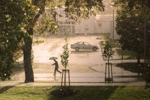 Ισχυρές βροχοπτώσεις προκαλούν ανησυχία στους αγρότες της Αργεντινής(vid)