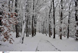 Κεντρική Μακεδονία: Σε ποιους δήμους δεν θα λειτουργήσουν σήμερα Τρίτη τα σχολεία