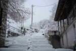 xioni