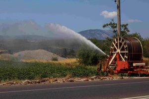 Αλεξ/πολη: Σε προγράμματα επιδοτήσεων και επιμόρφωσης στον αγροτικό τομέα πάνω από 60.000 νέοι γεωργοί