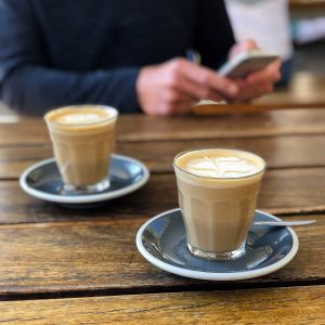 Ρομπότ…γάτες σερβίρουν πελάτες στα εστιατόρια της Ιαπωνίας! Βίντεο