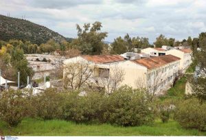 Δαφνί: Συνελήφθη ο 47χρονος τρόφιμος που σκότωσε τη 44χρονη γυναίκα