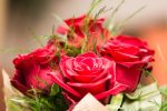 roses