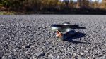snake-4688238_1280 (2)