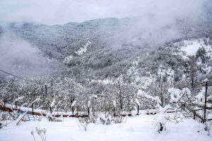 Ντύθηκαν στα λευκά οι κορυφές του Ολύμπου, του Καϊμακτσαλάν και του Φαλακρού – Δείτε βίντεο