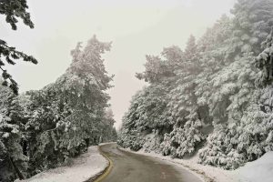 Διακοπή κυκλοφορίας στη λεωφόρο Πάρνηθος λόγω χιονόπτωσης