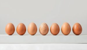 Έλλειψη αυγών στις ΗΠΑ – Από αυτή την χώρα θέλουν να εισάγουν για να έχουν