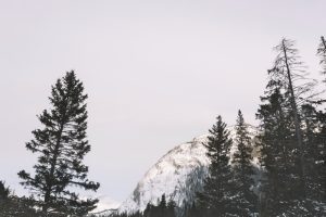 Τρομακτική χιονοστιβάδα ήρθε από το πουθενά και κάλυψε τα πάντα, vid