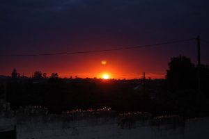 Ο Έλληνας που ζωντανεύει την ελληνική διασκέδαση με λουλουδοπόλεμο και σπάσιμο πιάτων στη Ζάμπια