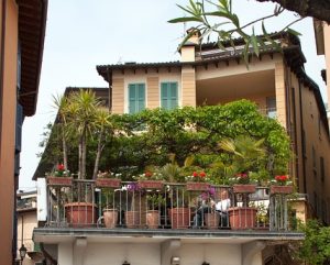 «Πρασινίζουμε το Γκρίζο»: Ο δήμος Αθηναίων βραβεύει τα πιο πράσινα μπαλκόνια, ταράτσες και αυλές