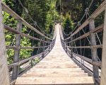 bridge