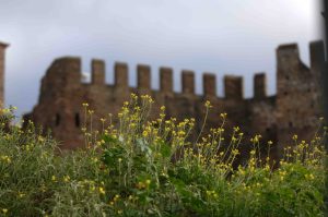 Θεσσαλονίκη: Δύο νέοι ομαδικοί τάφοι εκτελεσμένων του Επταπυργίου βρέθηκαν στις Συκιές