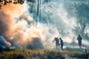 Σε κλοιό καύσωνα και τα Βαλκάνια: Πυρκαγιές σε Σκόπια και Κροατία – Ανεξέλεγκτη φωτιά στην Αλβανία
