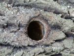 hole-167298_1280