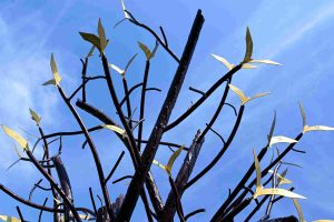 Θεσσαλονίκη: Συμβολική μοτοπορεία για το σιδηροδρομικό δυστύχημα των Τεμπών