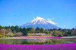 mount fuji