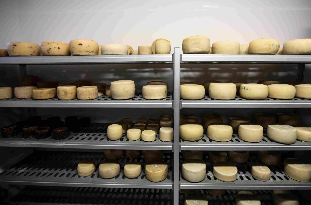 Γιατί οι τυροκομικές επιχειρήσεις της Λέσβου ανακοίνωσαν διακοπή λειτουργίας στις 8/4