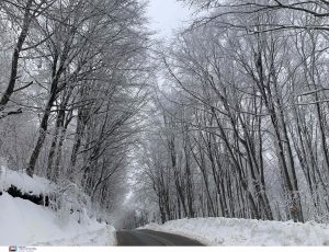 Στα λευκά έχουν ντυθεί πολλές περιοχές σε Πήλιο και Όθρυ – Χωρίς προβλήματα το οδικό δίκτυο