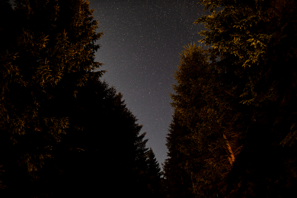 Η στιγμή που μετεωρίτης κάνει τη νύχτα-μέρα στην Καλιφόρνια, vid