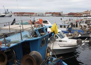 Χρ. Κέλλας: Στήριξη αλιέων με 500 εκατ. ευρώ, την περίοδο 2021-2027