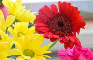 Ποιοι γιορτάζουν σήμερα, Τρίτη 13 Ιανουαρίου