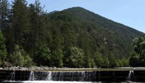 Στον Εθνικό δρυμό της Βάλια Κάλντα ο υπουργός Πολιτικής Προστασίας Ι. Κεφαλογιάννης