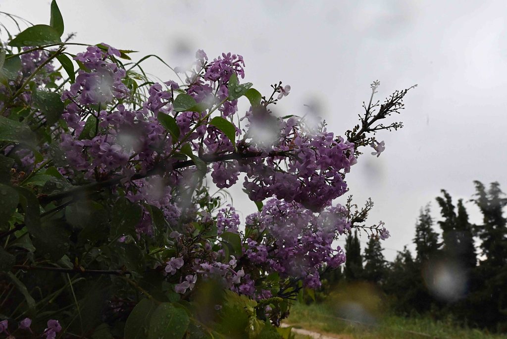 Άστατος ο καιρός και σήμερα: Τοπικές βροχές και καταιγίδες – Έως 21 βαθμούς η θερμοκρασία