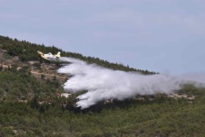 Οριοθετήθηκε η πυρκαγιά στον Αυλώνα – Δεν απειλήθηκαν σπίτια
