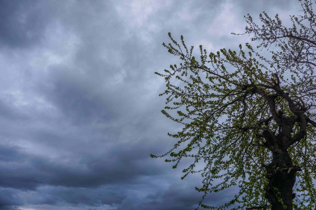 Καιρός σήμερα: Βροχές και μικρή πτώση θερμοκρασίας – Που θα εκδηλωθούν καταιγίδες