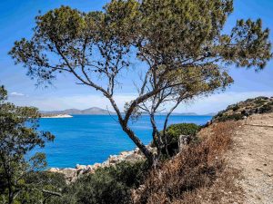 Καιρός σήμερα: Καμίνι η χώρα – Στους 39 βαθμούς ο υδράργυρος