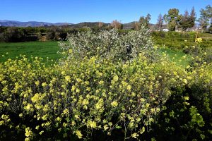 Ποιοι γιορτάζουν σήμερα 11 Απριλίου