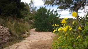 Θρίλερ στο Ηράκλειο: Περιπατητής εντόπισε νεκρό άνδρα σε μονοπάτι στην περιοχή του Γιούχτα