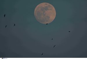 Το Φεγγάρι των Λουλουδιών κορυφώνεται απόψε στον νυχτερινό ουρανό – ΦΩΤΟ