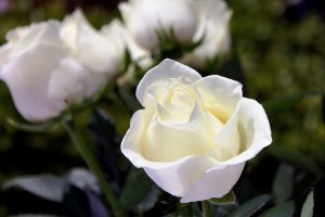 Συγκλονίζει ο αδελφός της Λένας Σαμαρά στα γενέθλιά του: «Τίποτα δεν είναι ίδιο χωρίς εσένα»