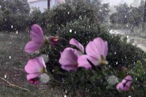 “Φθινοπωρινό” το σκηνικό του καιρού με τοπικές βροχές και βοριάδες – Έως 25 βαθμούς η θερμοκρασία