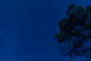 Αληθινό ή fake; Προβληματίστηκε το διαδίκτυο με αυτό που “είδαν” πάνω από το Λ.Α., vid