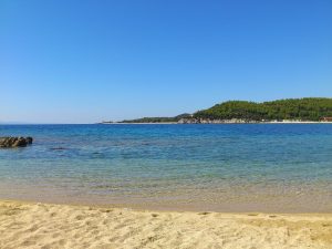 Φίδι έκανε γκράντε εμφάνιση σε παραλία της Χαλκιδικής(vid)