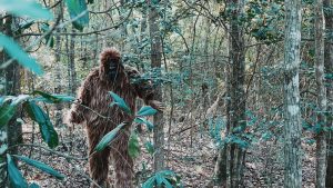 Το βίντεο με τον…Bigfoot που αμφισβητεί το διαδίκτυο αλλά έχει εκατομμύρια προβολές