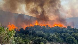 Πολύ υψηλός κίνδυνος πυρκαγιάς την Πέμπτη σε Αττική, Κρήτη, Εύβοια, Πελοπόννησο και Βόρειο Αιγαίο – Χάρτης