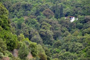 Χαλκιδική: Παρατείνεται έως 18/8 η απαγόρευση κυκλοφορίας λόγω πολύ υψηλού κινδύνου πυρκαγιάς