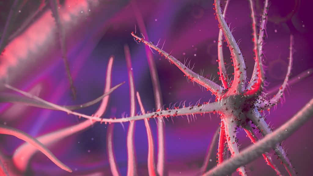 Μιλάνε για θανατηφόρο μύκητα που «σε τρώει από μέσα προς τα έξω» και εισβάλλει στις ΗΠΑ