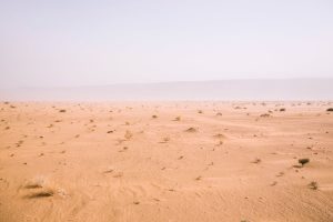 Δείτε τι τοποθέτησαν εν τω μέσω της ερήμου Τάκλα Μακάν οι Κινέζοι, video