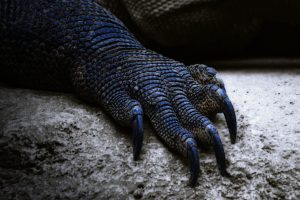 Ο Θρύλος του Mothman του “προάγγελου του θανάτου” μετέτρεψε μια πόλη σε θέαμα, vid